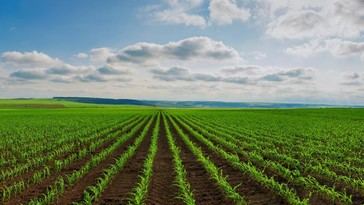 Investigación en Grecia por fraude en subsidios agrícolas y corrupción de funcionarios