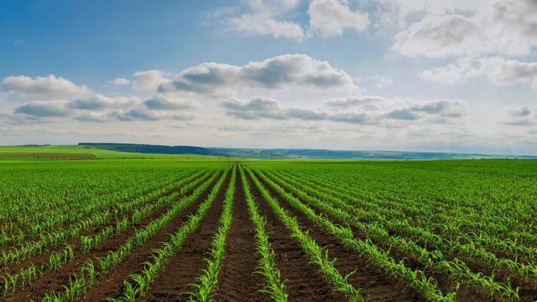 Investigación en Grecia por fraude en subsidios agrícolas y corrupción de funcionarios