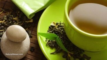 Estudio japonés revela que el té verde reduce lesiones cerebrales y podría proteger contra la demencia