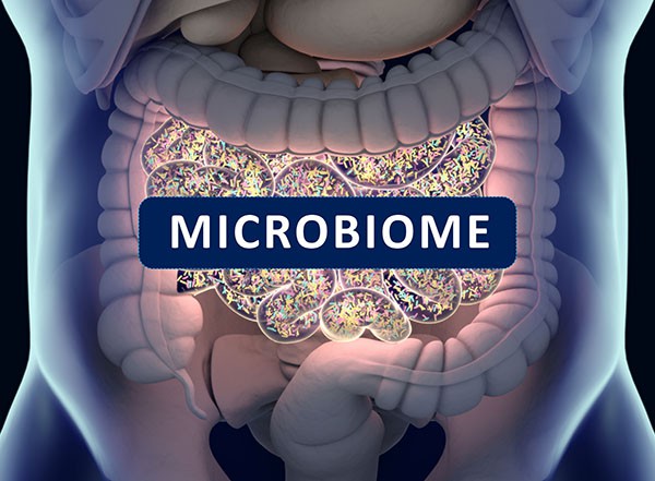 El microbioma intestinal como clave para la resiliencia ante el estrés en la salud mental
