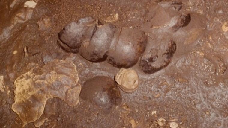 Descubren cueva maya que revela sacrificios humanos rituales