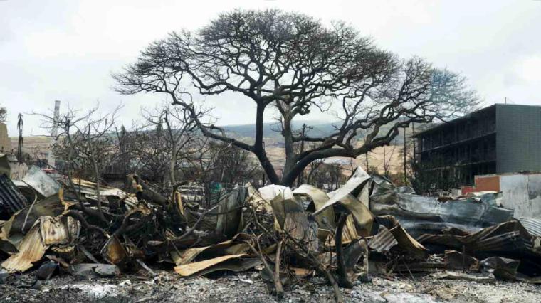 Un funcionario de Hawái privó a Lahaina de agua para combatir incendios hasta que se completó la devastación