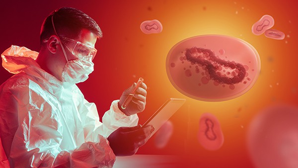 Compuestos tóxicos ocultos en los alimentos pueden dañar la salud intestinal y causar desnutrición