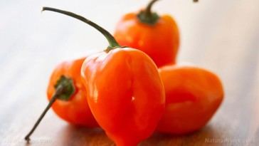 Pimientos extremos: el peligro de la capsaicina y sus riesgos cardíacos