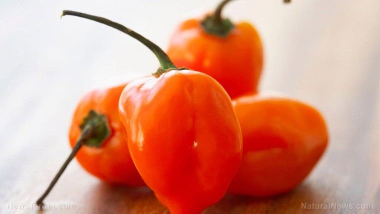Pimientos extremos: el peligro de la capsaicina y sus riesgos cardíacos