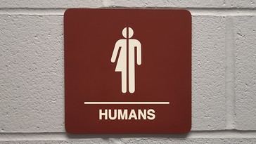 Idaho aprueba leyes estrictas sobre baños para personas transgénero en defensa de la privacidad femenina