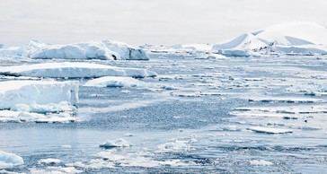 Investigación revela que temperaturas en Groenlandia han caído, desafiando la narrativa del calentamiento global