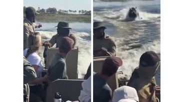 Hipopótamo persigue lancha con turistas en Botswana