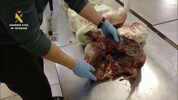 Detenida pasajera con 15 pangolines muertos en el aeropuerto de Madrid