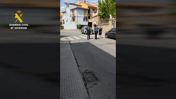 Desmantelan red de tráfico de reptiles y detienen a tres en Valencia