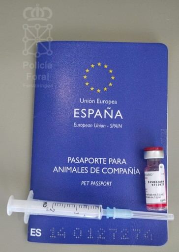 Seis personas bajo investigación por intrusismo en clínicas veterinarias