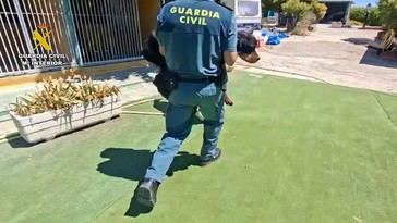 Dueños de escuela canina en Madrid investigados por maltrato animal