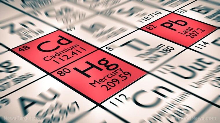 Los peligros ocultos de las toxinas de metales pesados en la salud cardiovascular