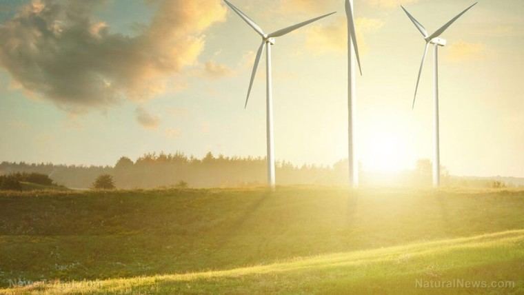 Mitsubishi cancela grandes proyectos de energía eólica en Japón por costos insostenibles