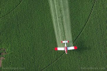Kentucky aprueba ley que protege a empresas de pesticidas de demandas por advertencias de salud