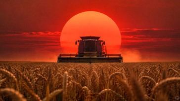 Agricultores de EE.UU. enfrentan la peor crisis en 40 años por el aumento de costos