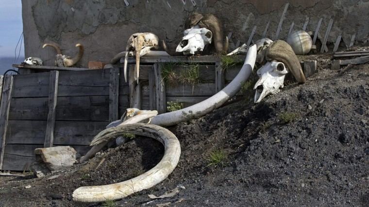 La OMS simula un brote de 'viruela del mamut' para evaluar la preparación ante pandemias