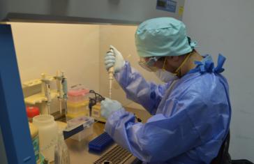 Misterioso laboratorio descubierto en California: 20 agentes infecciosos junto con ratones diseñados para propagar pandemias