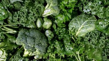 Consumo de verduras de hoja verde reduce en un 16% el riesgo de enfermedad pulmonar crónica, según estudio