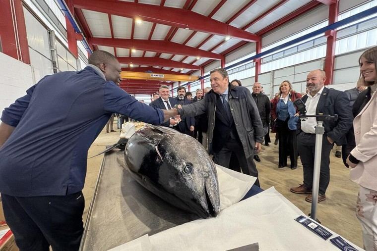 Planas resalta la importancia de las cofradías de pescadores en la economía social