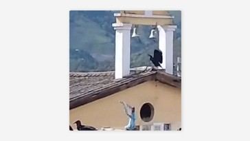 Un buitre hace sonar la campana de una iglesia durante un terremoto en Colombia