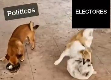Meme viral sobre actuación de electores y políticos