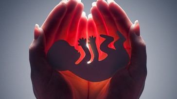 Minnesota omite datos cruciales sobre abortos, generando preocupaciones sobre la transparencia