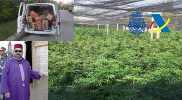 Marruecos muy molesto con las plantaciones de cannabis en Espa&#241;a