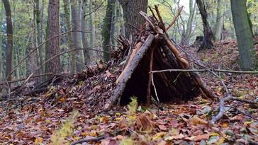 Lecciones de supervivencia tras 15 días solo en el bosque
