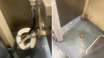 Revelan el estado del baño en un portaaviones de EE.UU. amid crisis a bordo