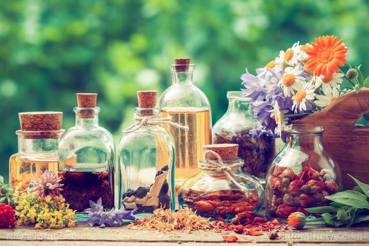 Antibióticos naturales: el poder de la naturaleza contra las infecciones