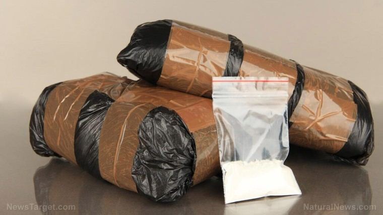 Casi 25 millones de dólares en cocaína confiscados en el Puente Blue Water