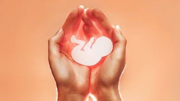 Corte de Ohio reestablece partes de la ley pro-vida de 2019