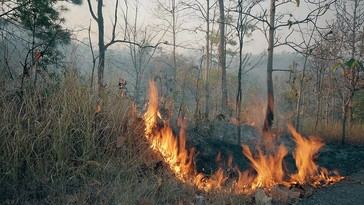 Emergencia en Oklahoma por devastadores incendios forestales