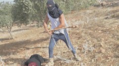 Mujer palestina hospitalizada tras ser golpeada por un colono israelí en Cisjordania