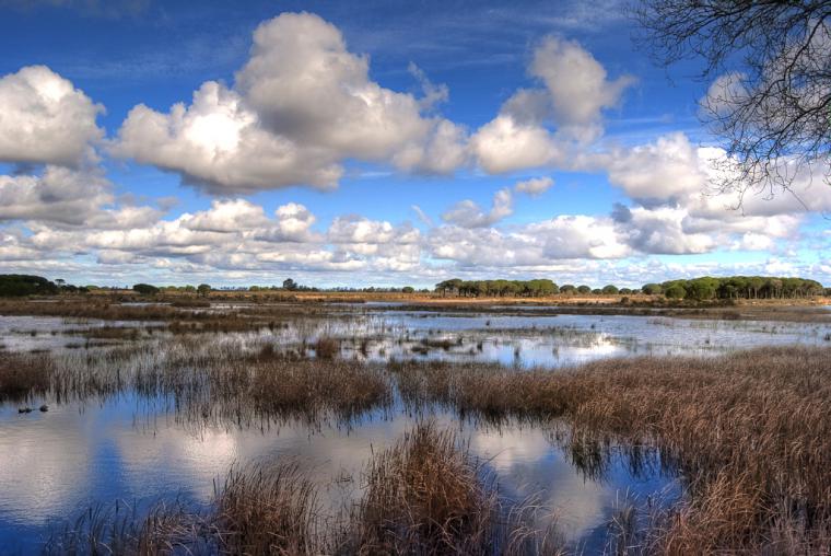 Ahora, nueva función: Doñana y el agua