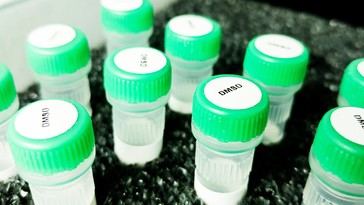 DMSO: Un potencial médico ignorado y su historia de persecución