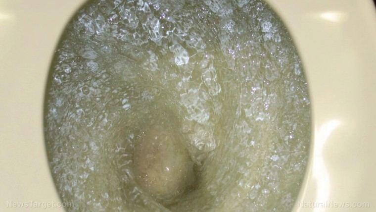 Escucha a tu vejiga: consejos de expertos para cuidar tu salud urinaria
