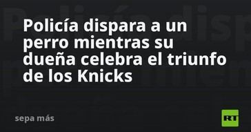 Policía mata a un perro durante celebración de victoria en baloncesto