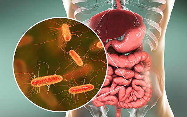 Medicamentos recetados alteran el microbioma intestinal durante años tras su uso