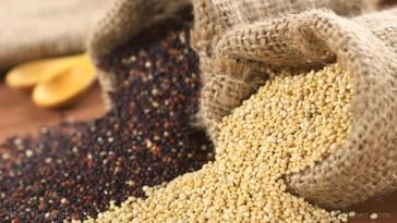 Quinoa: el superalimento ancestral que cuida tu corazón