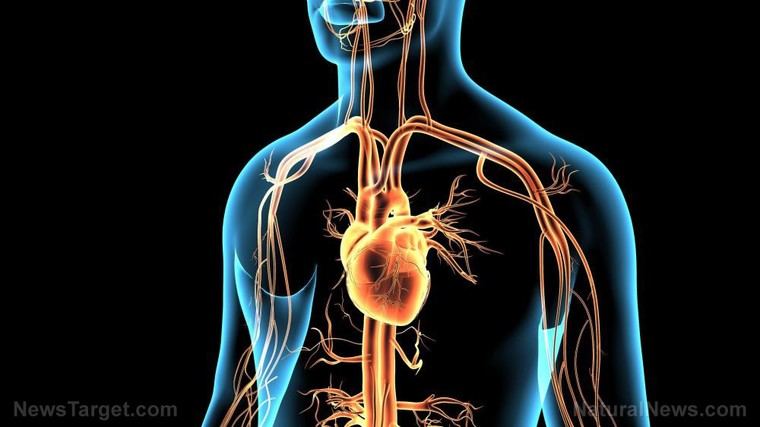 Nuevo enfoque en la salud cardíaca: el libro de Burton Goldberg propone terapias alternativas para combatir enfermedades del corazón