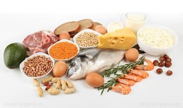 Revolución en la nutrición: cómo la calidad de las proteínas impacta tu salud