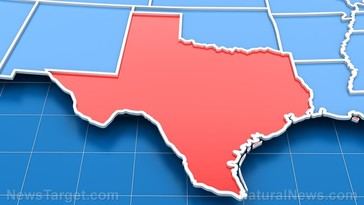 Texas' Energy Surge: A Key to Fueling the AI Revolution?
