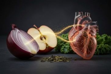 Descubren que el compuesto vegetal quercetina mejora la salud cardiovascular