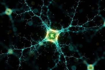Nuevo compuesto de vitamina K podría regenerar células cerebrales dañadas