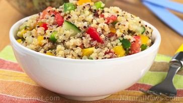 Cambia tu enfoque sobre los carbohidratos para mejorar tu salud y energía