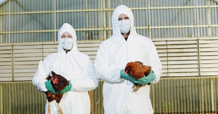 RFK Jr. Critica Plan de Vacunación del USDA por Riesgo de Virus Más Letal