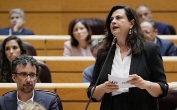 Rosa Viera critica al Gobierno por priorizar el espectáculo sobre la gestión de crisis