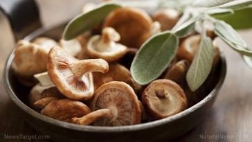 Mushrooms show promise in fighting colon cancer, study reveals